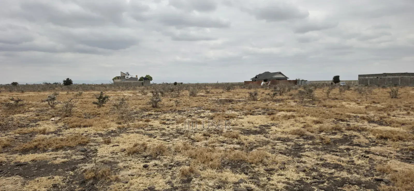 50x100 Plot for Sale in Mwalimu Farm, 500 Metres From Tarmac