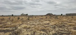 50x100 Plot for Sale in Mwalimu Farm, 500 Metres From Tarmac