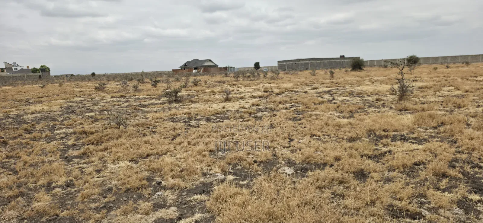 50x100 Plot for Sale in Mwalimu Farm, 500 Metres From Tarmac