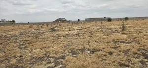 50x100 Plot for Sale in Mwalimu Farm, 500 Metres From Tarmac