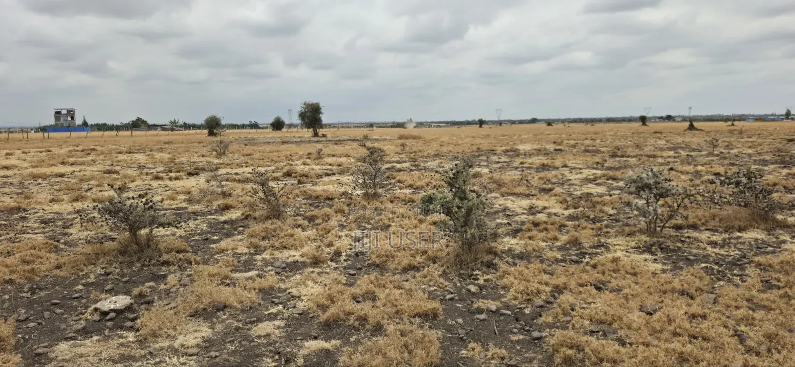 50x100 Plot for Sale in Mwalimu Farm, 500 Metres From Tarmac