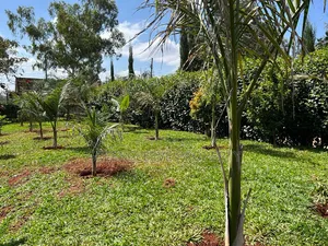5bdrm House in Karen for rent