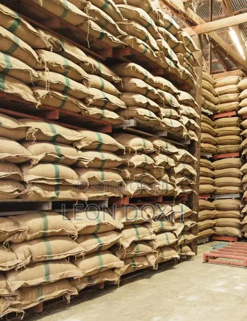 Bulk Supply of Maize,Sugar,Beans and Wheat