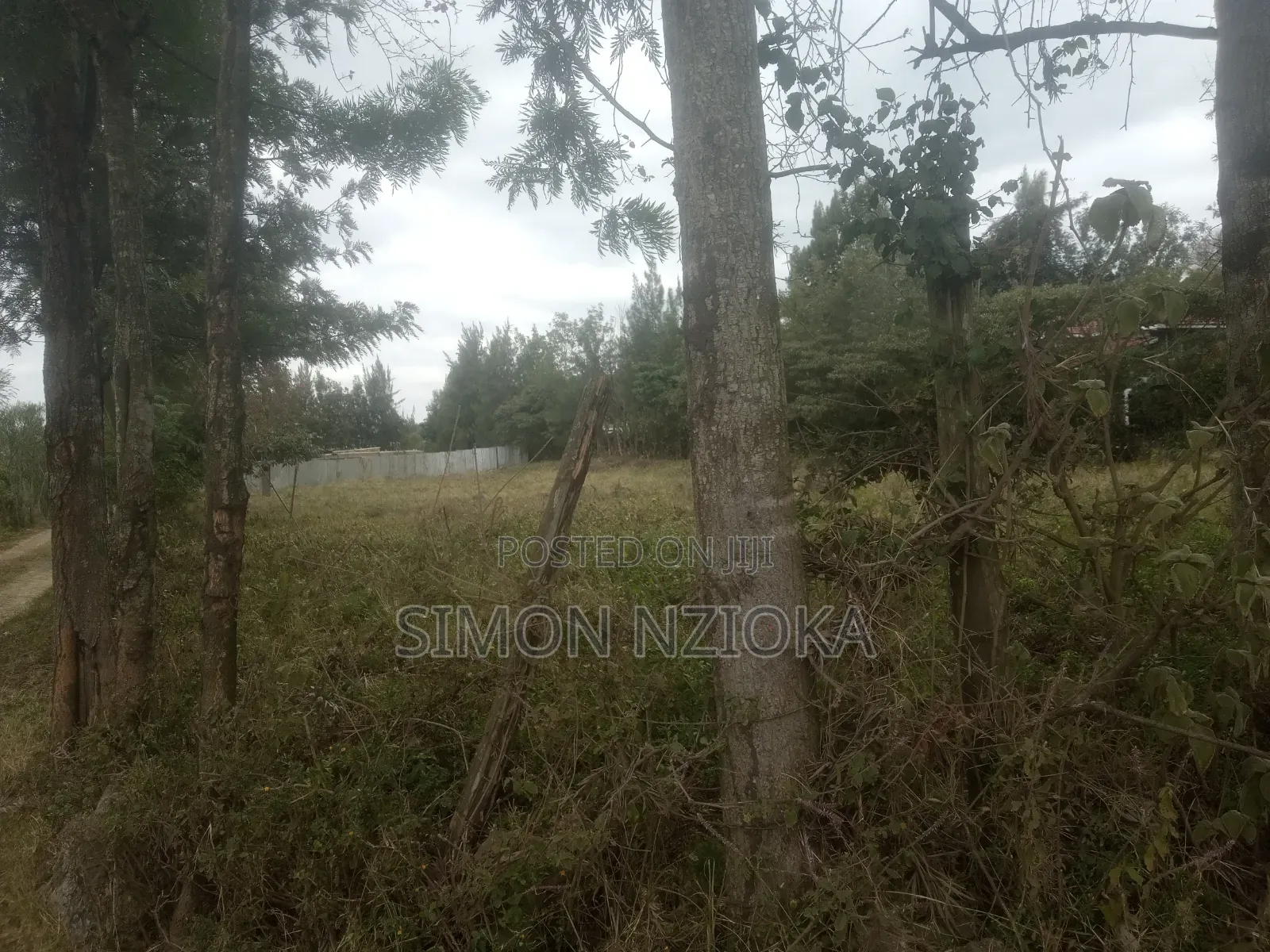 1 Acre in Kiserian, Kajiado