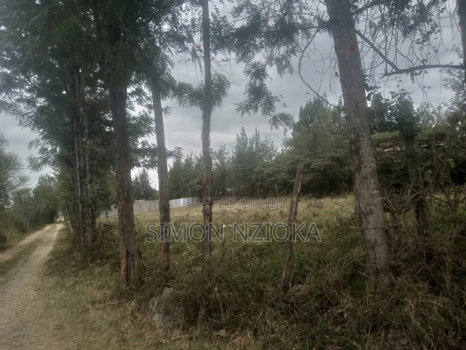 1 Acre in Kiserian, Kajiado
