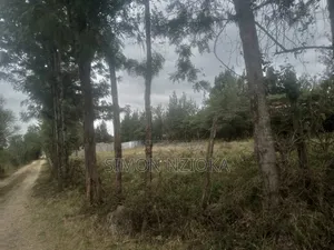 1 Acre in Kiserian, Kajiado