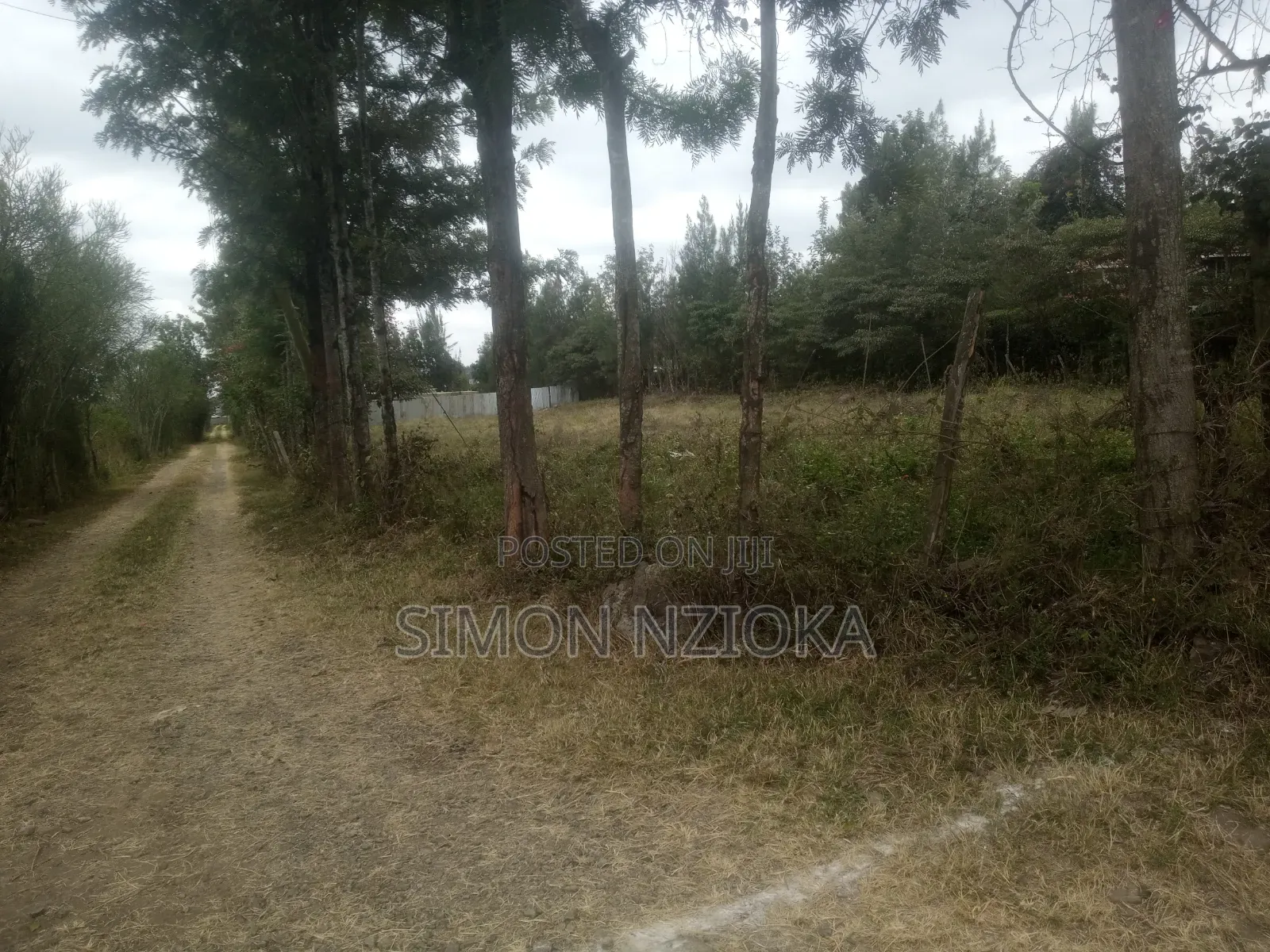 1 Acre in Kiserian, Kajiado