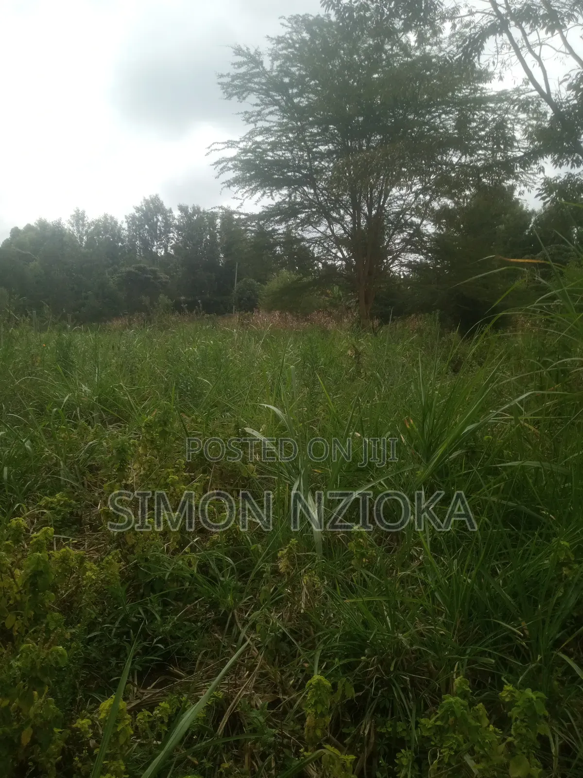 1 Acre Plot in Kiserian Kahara Road