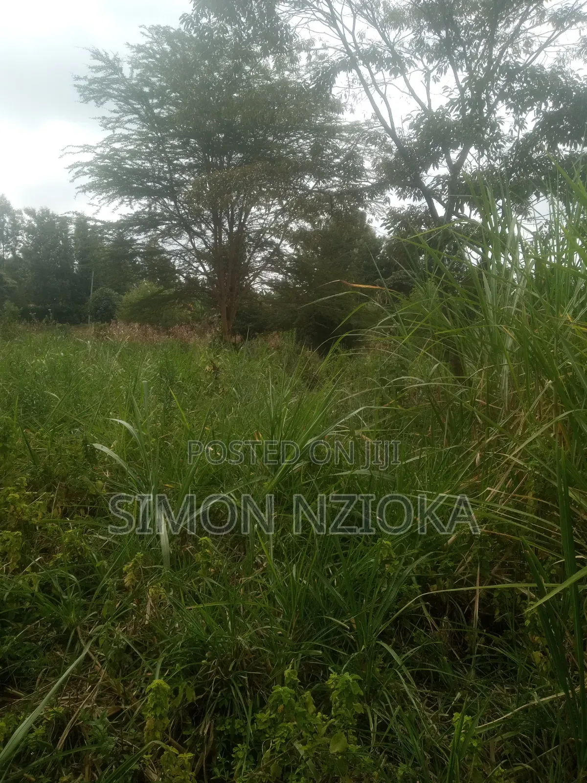 1 Acre Plot in Kiserian Kahara Road