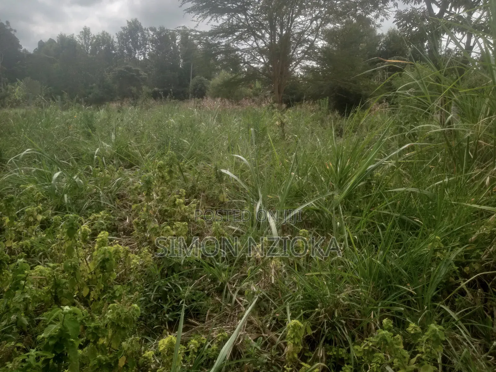 1 Acre Plot in Kiserian Kahara Road