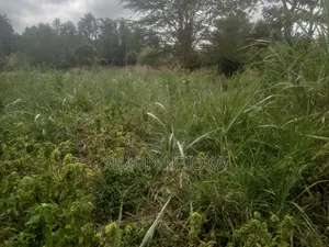 1 Acre Plot in Kiserian Kahara Road
