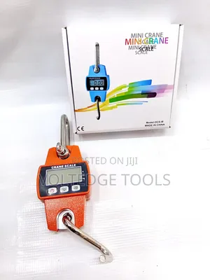 Mini Crane Scale OCS M