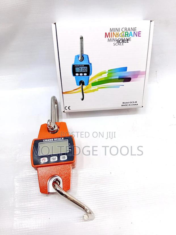 Mini Crane Scale OCS M - main view