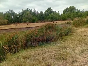 Prime Land 7 Acres for Sale in Matuu Machakos