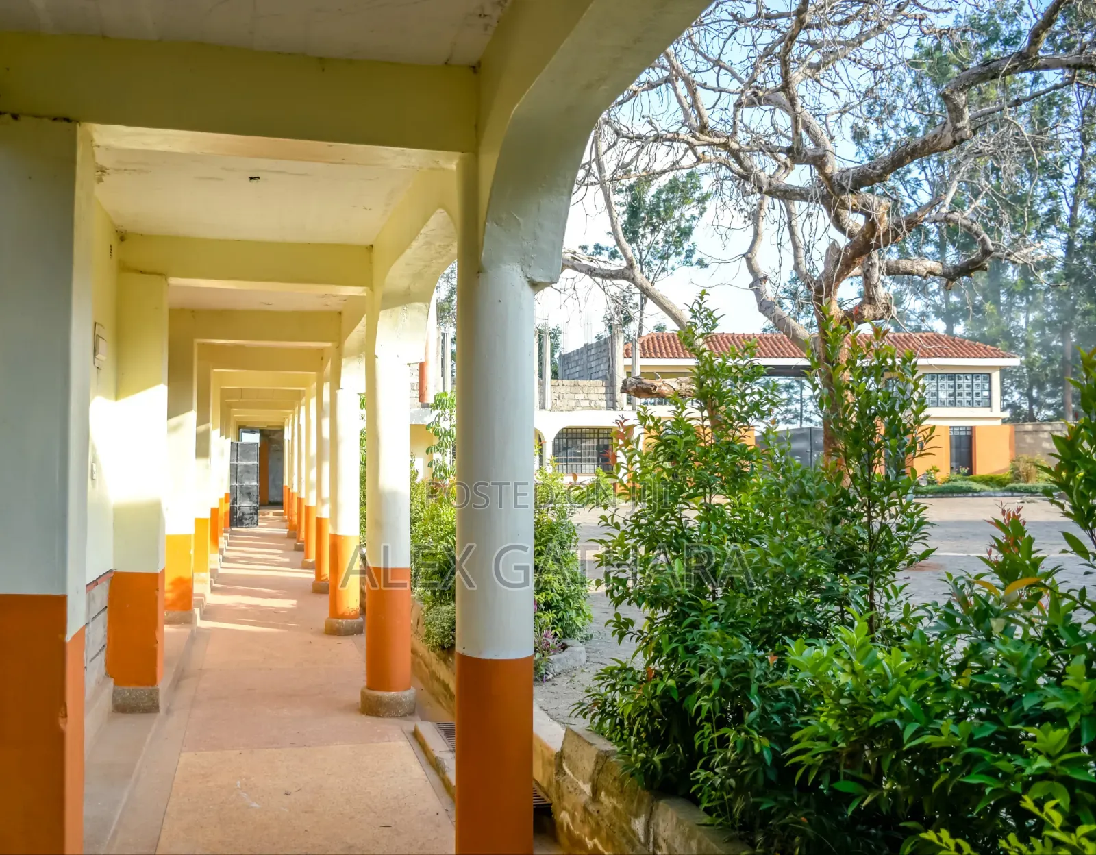 Private Schools for Sale