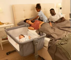 Chicco Next2Me Bedside Crib Co-Sleeper