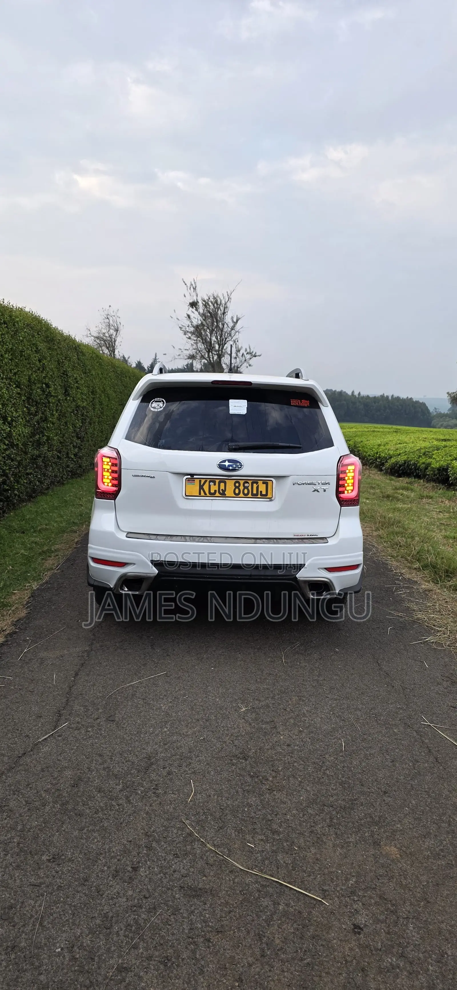 Subaru Forester 2013 White