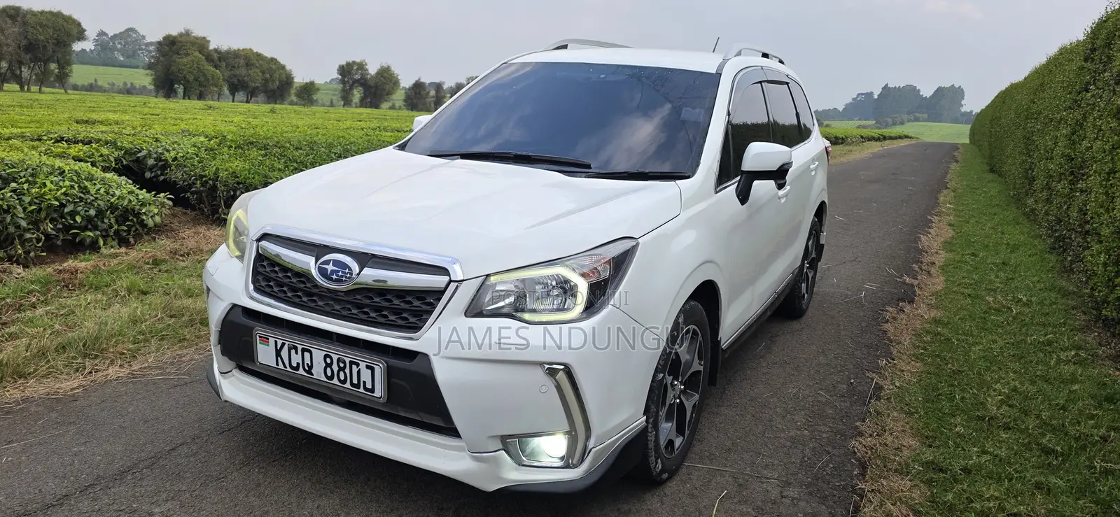 Subaru Forester 2013 White