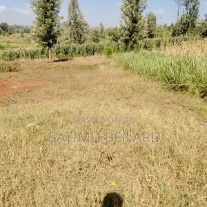 Prime Half Acre on Sale in Kirinyaga Nyangati kirimara.Ready to Build.