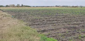 10acres at Isinya