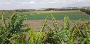 10acres at Isinya