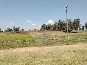 Prime 1 Acre Land for Sale – Touching Tarmac in Kirinyaga Kimbimbi