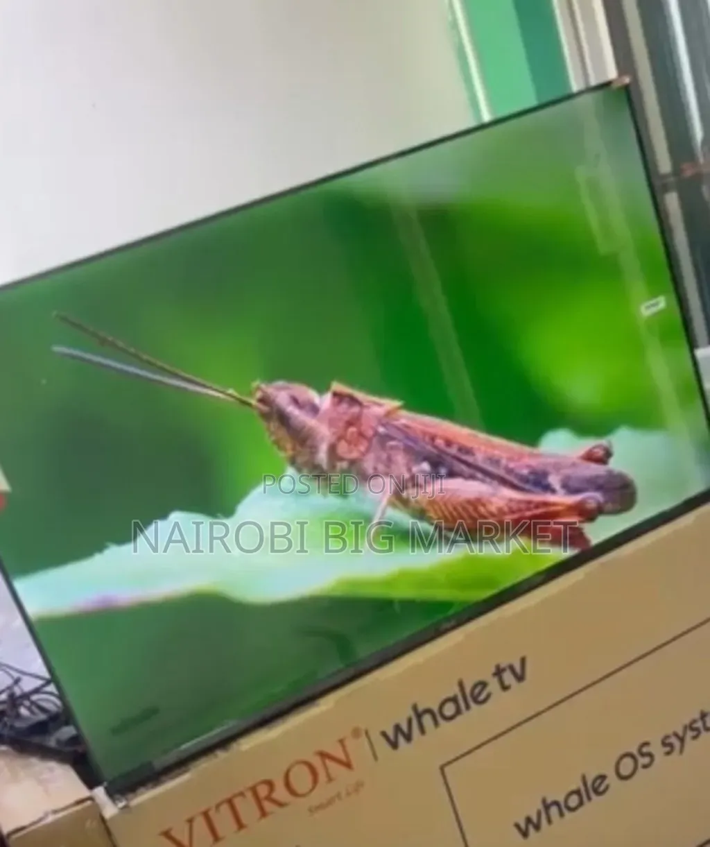 Vitron 50inch Whale Os TV With T2 Inbuilt Decorder
