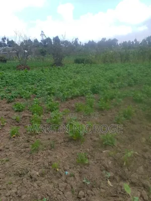 1⁄2 Acre Kwa Ngothi , Ndunyu Njeru