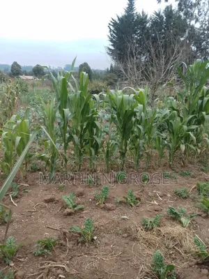 1 Acre Kwa Haraka