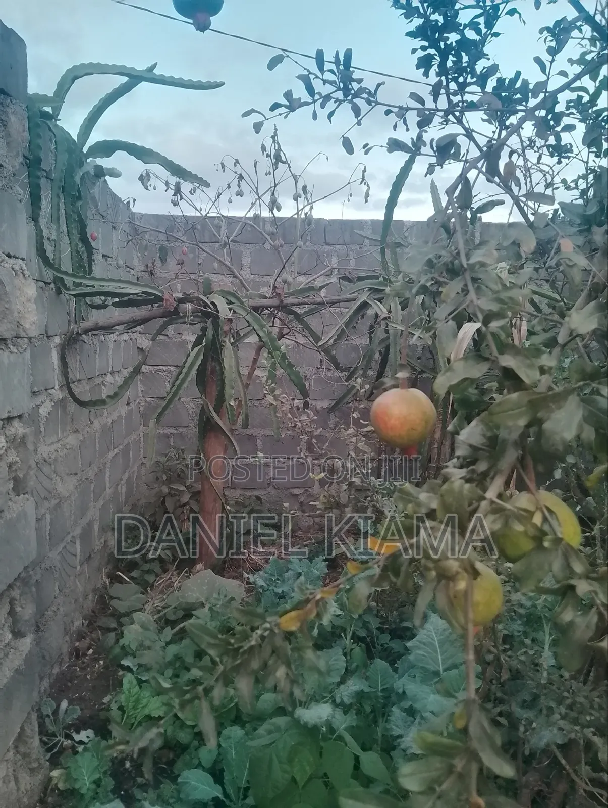 3bdrm Bungalow in Kisii Estate for sale