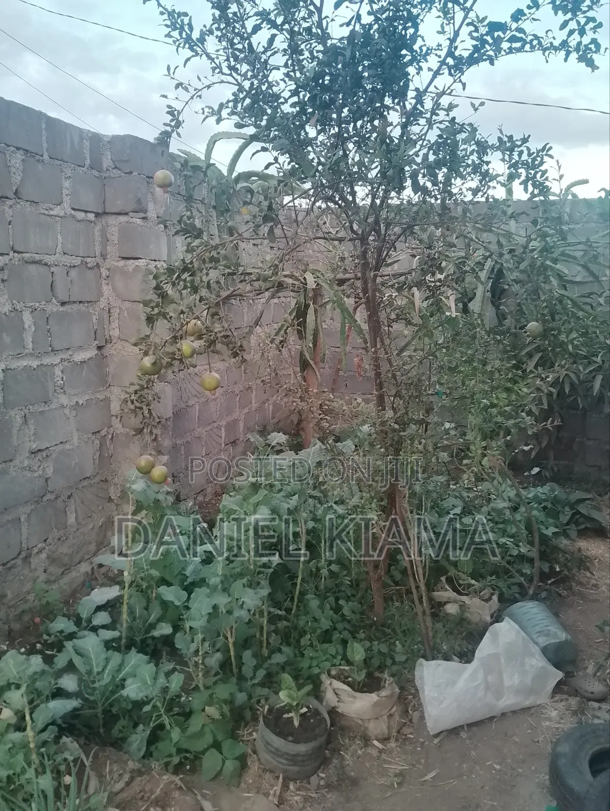 3bdrm Bungalow in Kisii Estate for sale