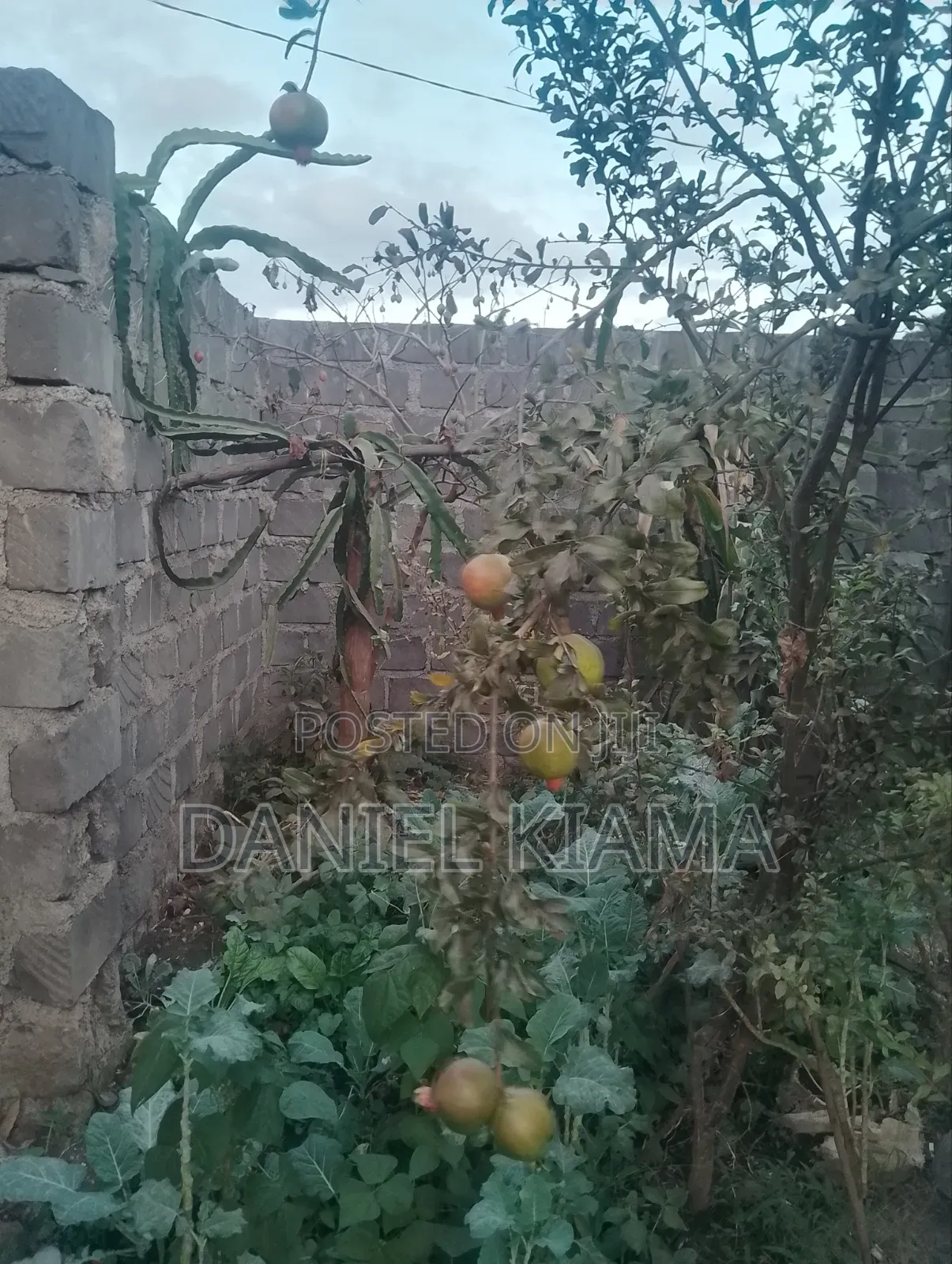 3bdrm Bungalow in Kisii Estate for sale