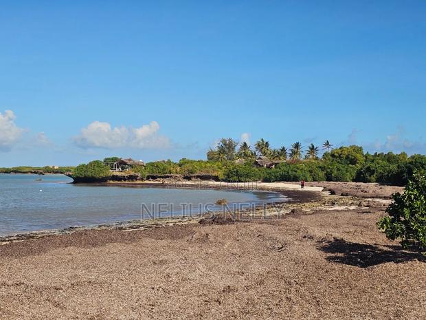 Beach Front Property Matsangoni Kilifi