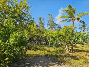 Beach Front Property Matsangoni Kilifi