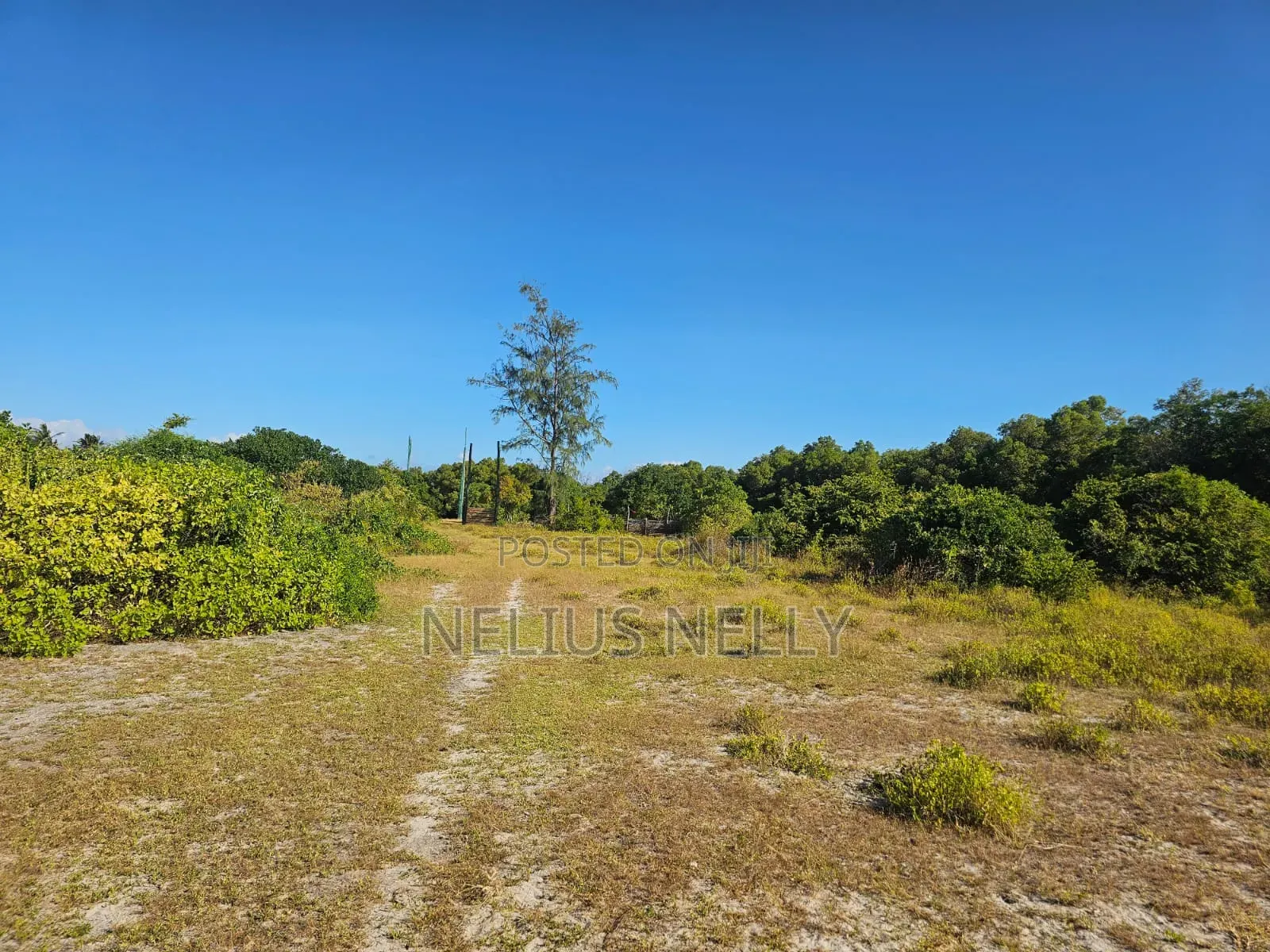Beach Front Property Matsangoni Kilifi