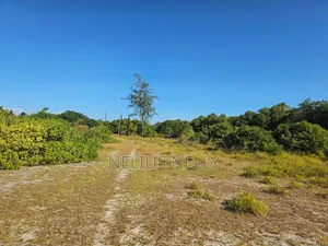 Beach Front Property Matsangoni Kilifi