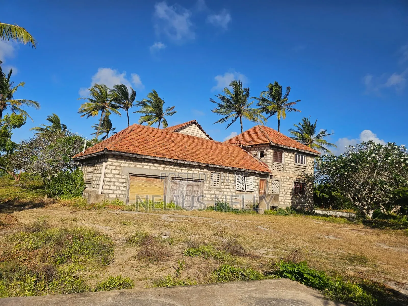 Beach Front Property Matsangoni Kilifi