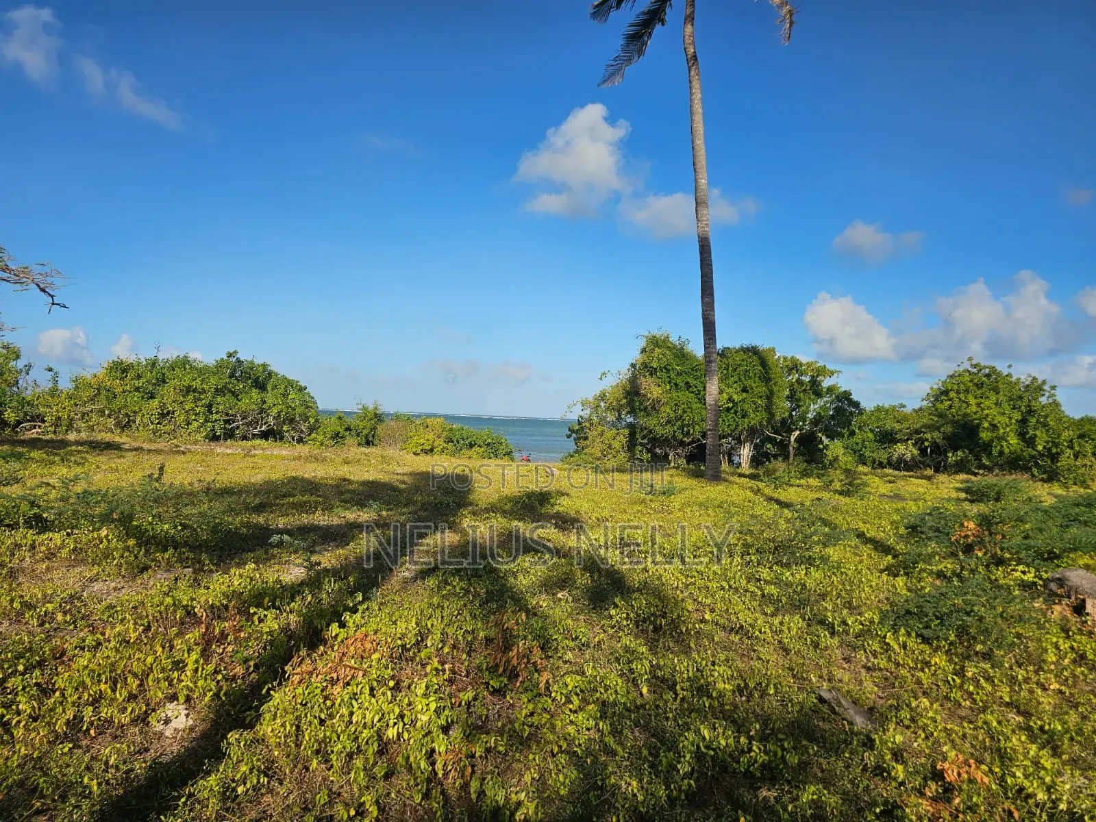 Beach Front Property Matsangoni Kilifi