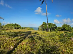 Beach Front Property Matsangoni Kilifi