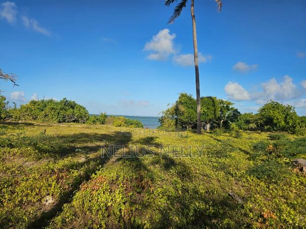 Beach Front Property Matsangoni Kilifi - thumbnail 5