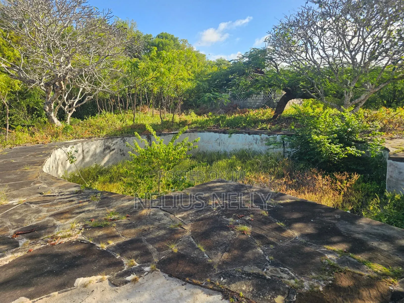 Beach Front Property Matsangoni Kilifi