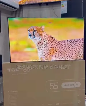 TCL 55 Inch Goggle TV With Built in Chromecast