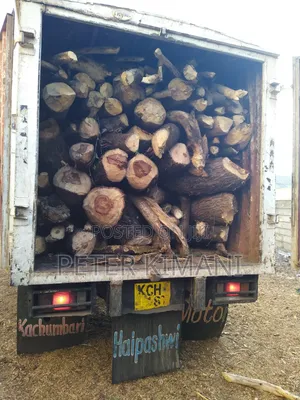 Dry Firewood for Sale