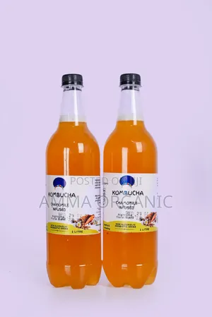 Probiotic Kombucha 1 Litre