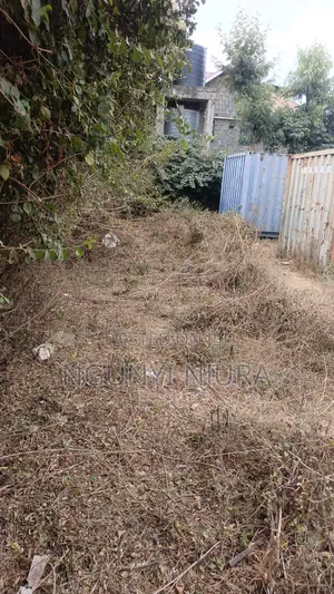 Commercial Plot 100ftx50ft in Kamakis