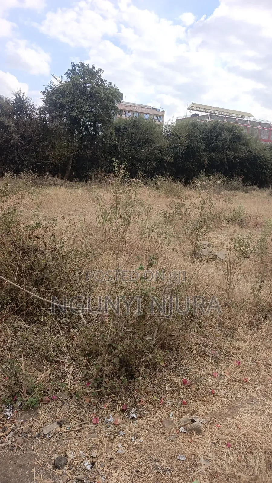 Commercial Plot 100ftx50ft in Kamakis
