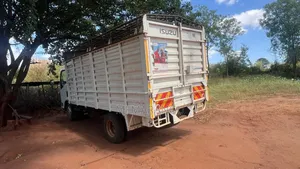 Isuzu Truck 2022 White
