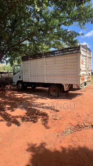 Isuzu Truck 2022 White