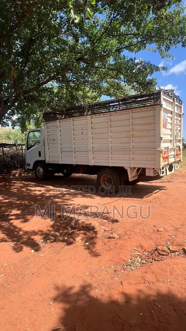 Isuzu Truck 2022 White