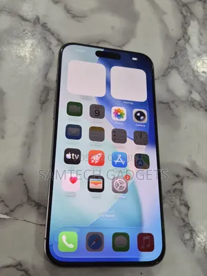 Apple iPhone 15 Pro Max 256 GB Gray